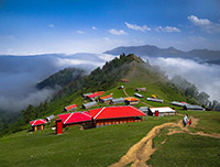 Masal