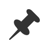 Pin icon
